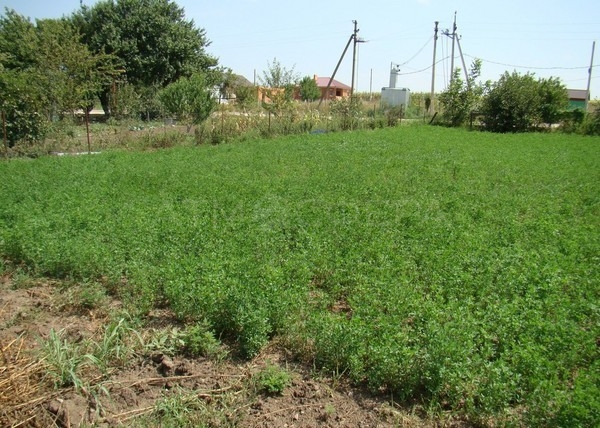 Карта хутора уташ