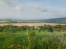Фото 1