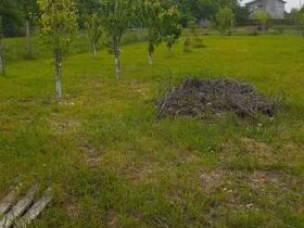 Фото 8