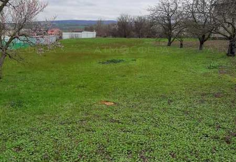 Фото 1