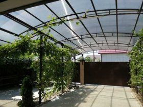 Фото 3