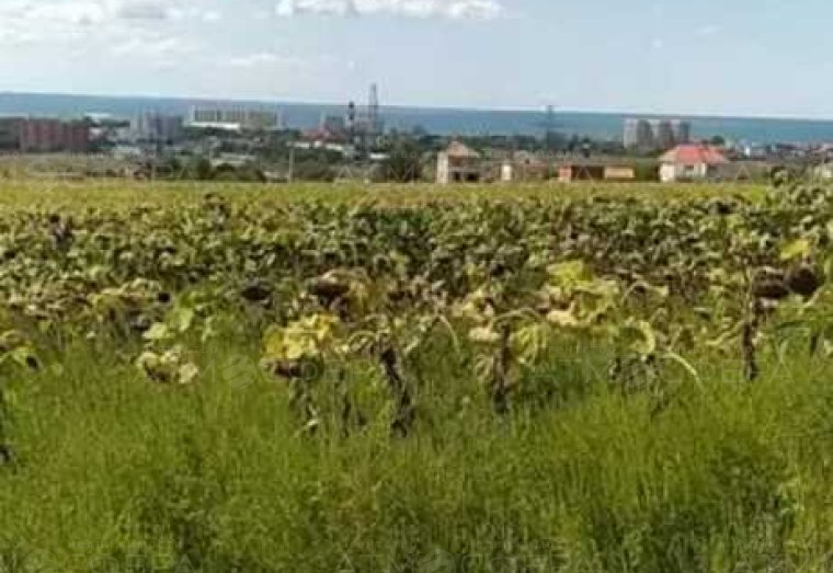 Продаётся земельный участок в Тарусино