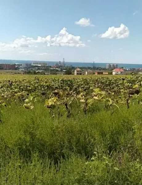 Продаётся земельный участок в Тарусино
