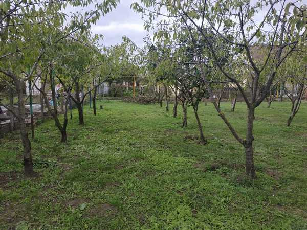 Участок в пригороде Анапы