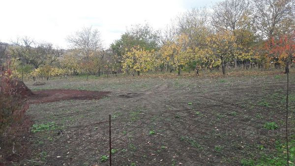 Фото 1
