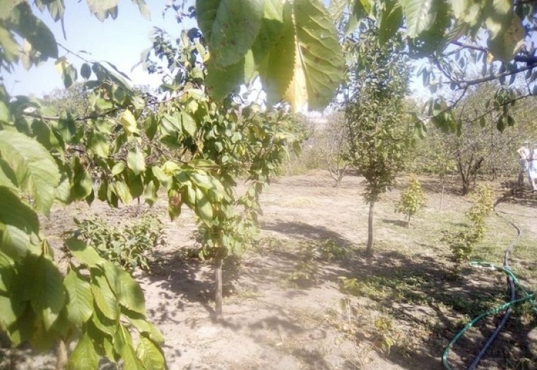Продаётся участок г Анапа СОТ Южное