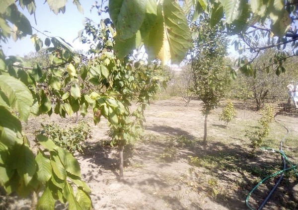Продаётся участок г Анапа СОТ Южное
