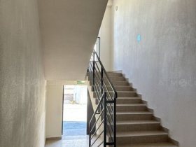 Фото 8