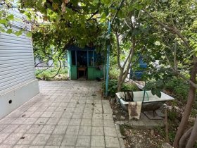 Фото 3