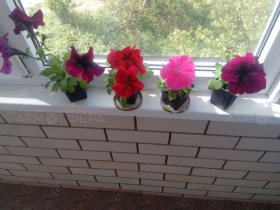 Фото 4