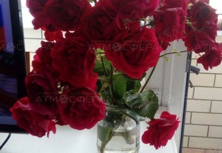 Фото 6
