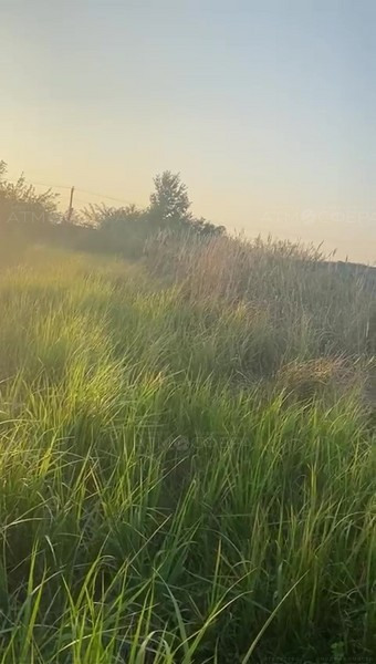 Продается участок 8 сот ДНТ Дубрава