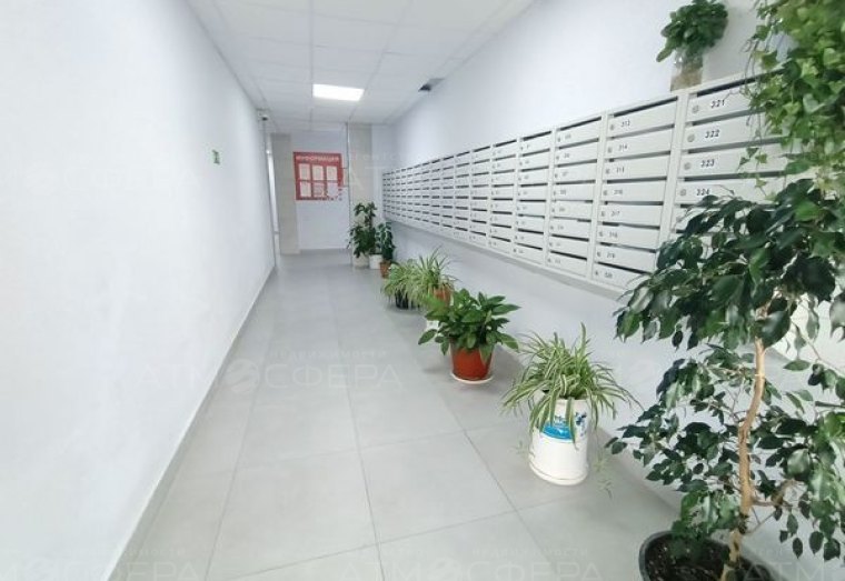 Фото 3