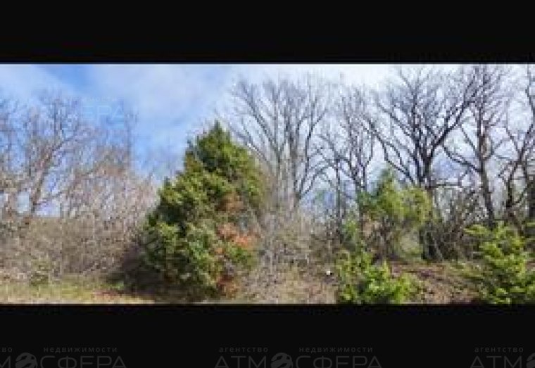 Фото 8