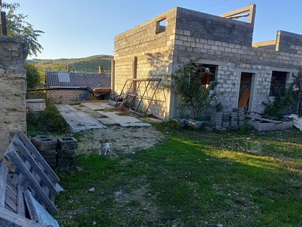 Фото 1