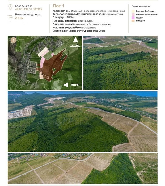 Продаётся земельный участок с виноградниками в с. Варваровка