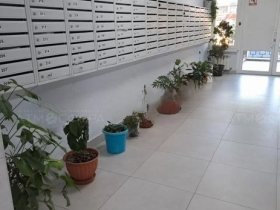Фото 8